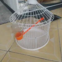 قفس گرد پرنده