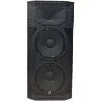 اسپیکر دبل ایکونTW215a