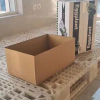 فروش کارتن صادراتی بادمجان|عمدهفروشی|یزد, |دیوار