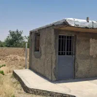 باغ-انگوری-بر-اصلی