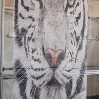 دومکانیزم چاپی شب|پرده، رانر، رومیزی|فردیس, سپید دشت|دیوار