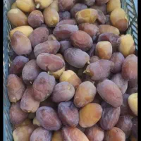 رطب|خوردنی و آشامیدنی|بوشکان, |دیوار