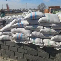 راننده نیسان