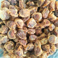 انشو گوشتی و درشت