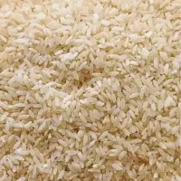 برنج چمپا تازه