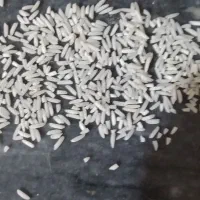 برنج طارم دم سیاه به شرط پخت