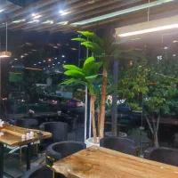 ظرفشور|استخدام خدمات فروشگاه و رستوران|تهران, ونک|دیوار