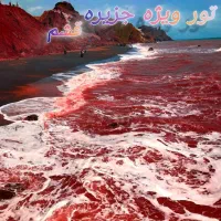 تورگروهی شاد قشم 26  آذر