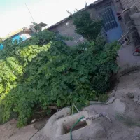 خونه-اجاره-ای