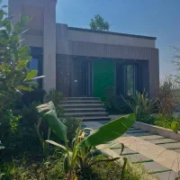 مشجردلبازلوکیشن جنگلی/استخرداخلی