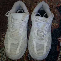 کتونی نیوبالاس