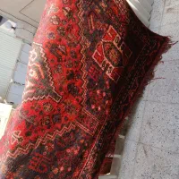 فرش دستباف قدمت ۸۰ سال|فرش|شیراز, ارم|دیوار