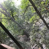 سوئیت جنگلی سنتی بکر روستای کنگ|اجارهٔ کوتاه‌مدت ویلا و باغ|مشهد, نکاح|دیوار