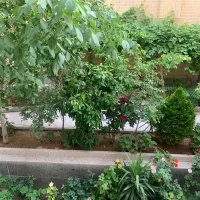 اجاره روزانه۲خوابه بهمراه حیاط اختصاصی/مهرآباد/شیک|اجارهٔ کوتاهمدت آپارتمان و سوئیت|اصفهان, مهرآباد|دیوار