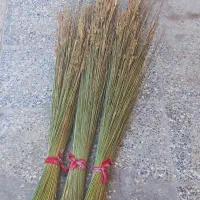 جارو دستی