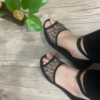 پاپوش مجلسی