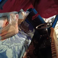 نیسان کمپرسی دوگانه مدل 87|خودرو سواری و وانت|برازجان, |دیوار