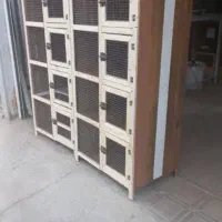 جفت کن جفت کنی قفس چوبی گنجه کبوتر کفتر|لوازم جانبی حیوانات|محمدشهر, یزدیها|دیوار