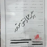 فروش موتور سیکلت 130 سی سی صفر کیلومتر|موتورسیکلت|اصفهان, آزادگان|دیوار