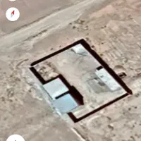 دامداری-50-راسی-ملاثانی