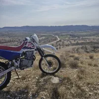هوندا xr600