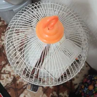 قفس مرغ عشق نونو جنس عالی و خووب