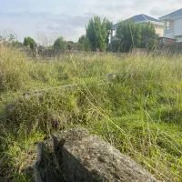 فروش-240متر-زمین-سند-وزارت-تازه-آباد-چالوس