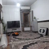 دوتا فرش 9 متری|فرش|رشت, رودباری|دیوار