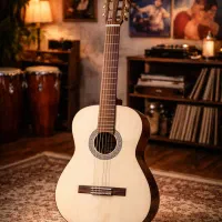 آموزش تخصصی گیتار