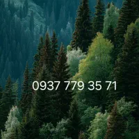شماره یرانسل