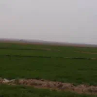 زمین کشاورزی و صنعتی