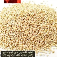 کینوا برای کودکان وسالمندان|خوردنی و آشامیدنی|شیراز, شهرک امام حسن|دیوار