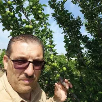 ۸ هزارمتر باغ برق ۳فازگازآب دارد
