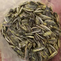 فروش تخمه  افتابگردان ایرانی