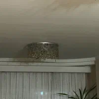 لوستر|لوستر و چراغ آویز|تهران, ولنجک|دیوار