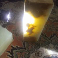 شاه مقصود راف70کیلودرجه یک بدون پرتی فوری زیرقیمت|کلکسیون و سرگرمی|تهران, دستغیب|دیوار