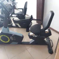 دوچرخه ثابت پشتی دار طبی تایوانی شکار