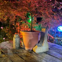 کلبه چوبی اجاره شب|اجارهٔ کوتاهمدت آپارتمان و سوئیت|نشتارود, |دیوار