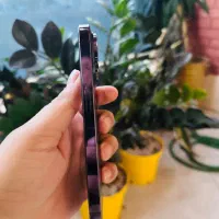 آیفون ۱۴ پرو رجیستر شده دو سیم کارت|موبایل|کرمان, |دیوار