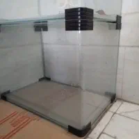 آکواریوم|لوازم جانبی حیوانات|قم, باجک یک|دیوار