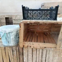قفس کبوتر و مرغ