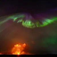 اجاره روزانه چند روز قبل خبر بده