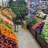 نیرو وارد بکارمیوه با بالاترین حقوق