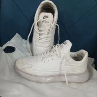 کفش ورزشی|کیف، کفش، کمربند|کرمان, |دیوار