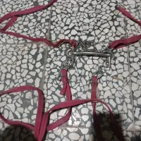 دهنه اسب