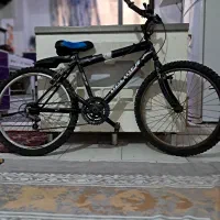 دوچرخه|دوچرخه، اسکیت، اسکوتر|قرچک, پویینک|دیوار