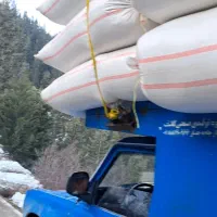 سامان نرم ریز مال امسال درجه یک