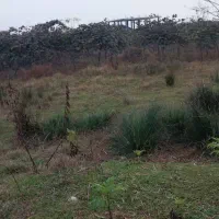 زمین به متراژ ۵۰۰ متر|فروش زمین و ملک کلنگی|حویق, |دیوار