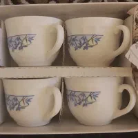 سرویس چایی خوری آرکوپال ۲دست