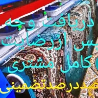 قالیشویی شبنم .حکیمیه